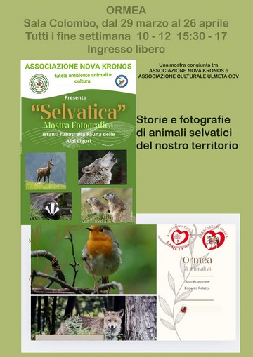 "Selvatica" - Istanti rubati alla fauna delle Alpi Liguri