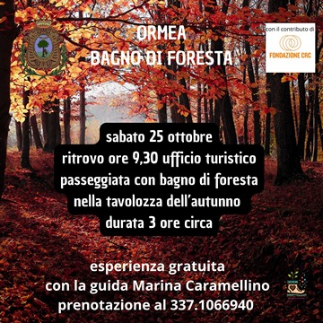 bagno di foresta 25 ottobre