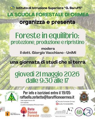 foreste in equilibrio