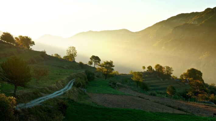 Cascine-Alpi-Liguri