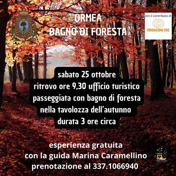 bagno di foresta 25 ottobre