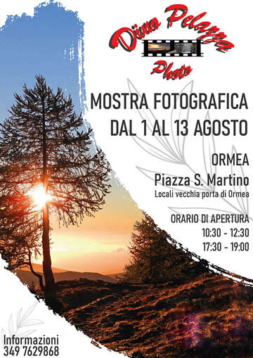 locandina a3 mostra dino pelazza ormea